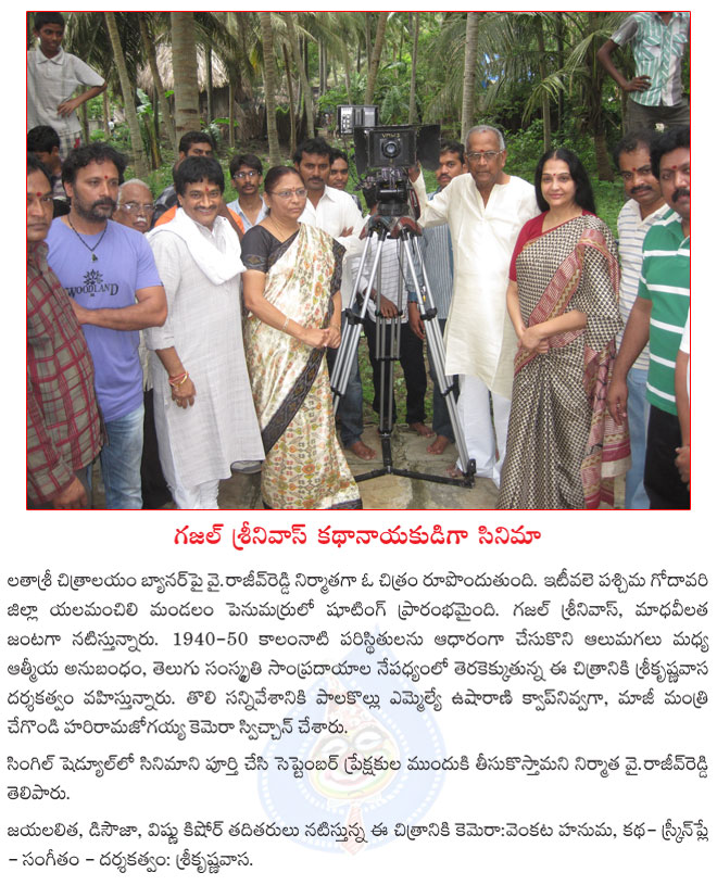 gajal srinuvas new film news,gajal srinuvas film launch,madhavilatha movie opening,gajal srinuvas film news,gajal srinuvas,gajal srinuvas new film news  gajal srinuvas new film news, gajal srinuvas film launch, madhavilatha movie opening, gajal srinuvas film news, gajal srinuvas, gajal srinuvas new film news